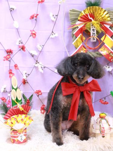 20230107ねねちゃん